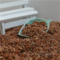 New Well Choose MP Red Sorghum